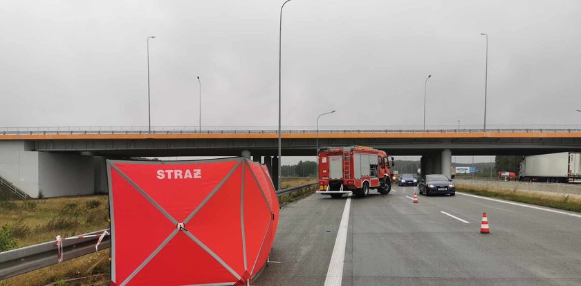 Koszmar na drodze pod Łodzią. Chciał pomóc i wysiadł z auta. Chwilę później doszło do tragedii...