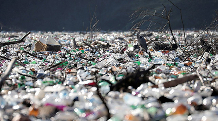 A műanyagból káros anyagok oldódnak ki, amik nagyon veszélyesek lehetnek az élőlények, beleértve az emberek számára is /Fotó: MTI/AP/Dragan Karadarevic/