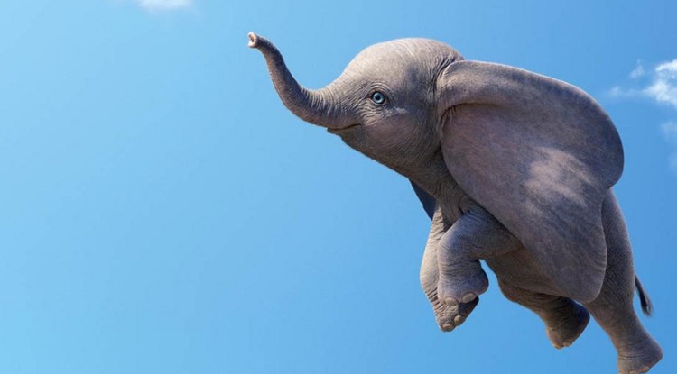 Dumbo