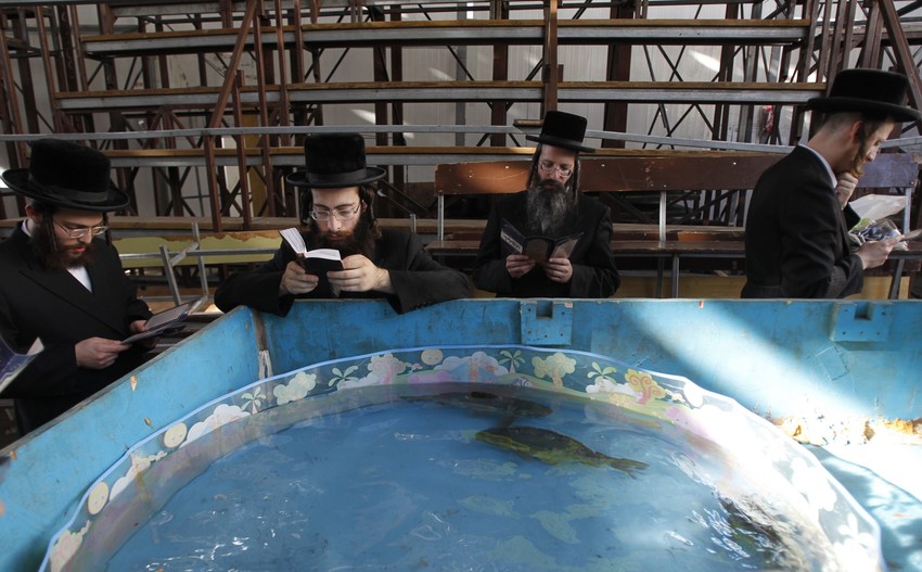 Vernici čitaju molitvu pored bazena sa ribom