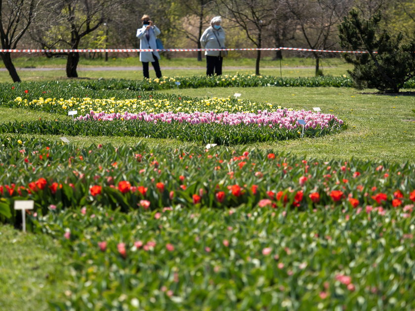 Otworzyli Ogród Botaniczny na jeden dzień