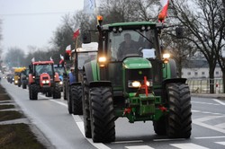 Żelichowski o protestach: Byli parlamentarzyści robią ludziom wodę z mózgu