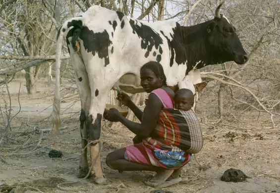 "Kupię cię za 500 krów" i "powstałaś z mojego żebra". Życie kobiet w Sudanie Południowym zaczyna się zmieniać