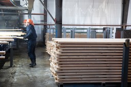 nielegalne drewno z rosji zalewa europę. do niedawna wjeżdżało głównie