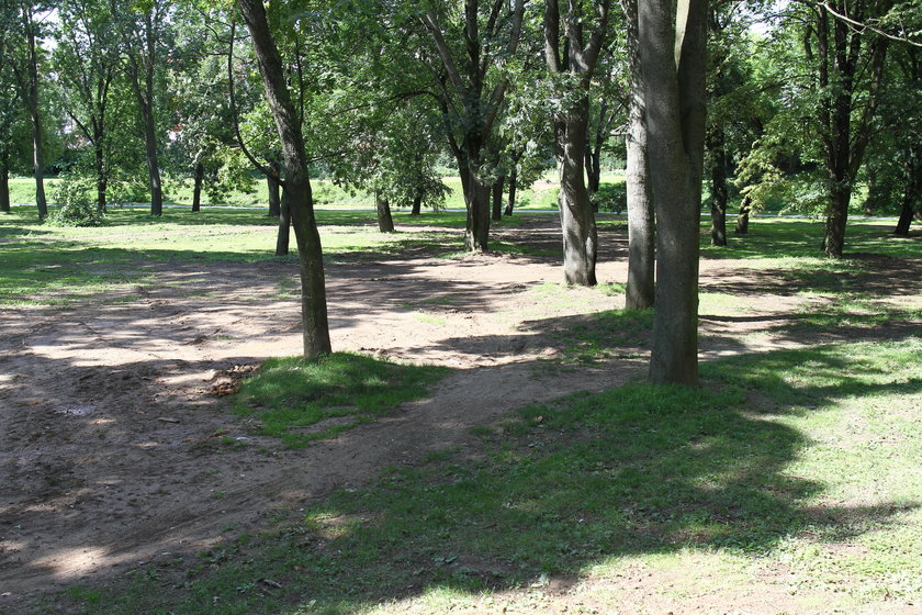 Park Olszynki