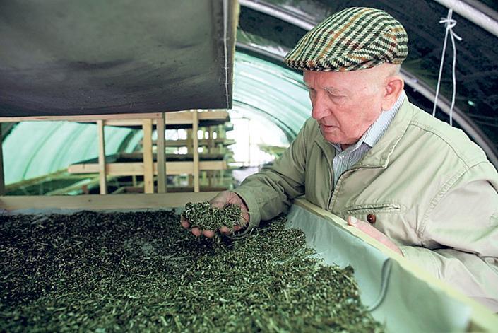 Gyuri bácsi az  unokáinak is  megmutatta,  melyik füvet  mire használják