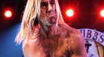 Iggy Pop (fot. Agencja BE&amp;W)