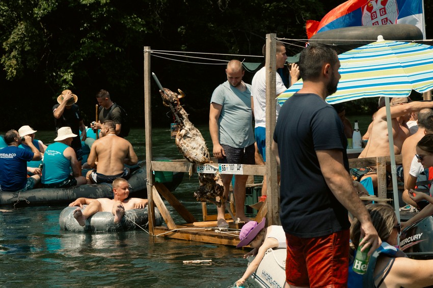 Drina regata 