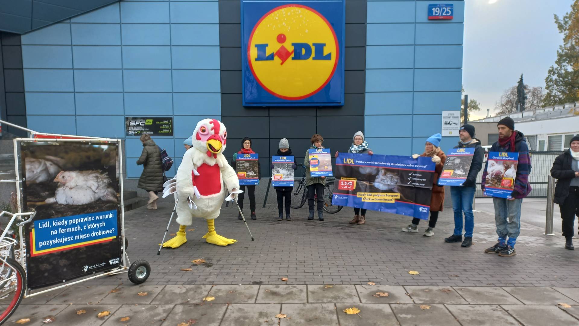 Strajki przed sklepami Lidl w Polsce. Otwarte Klatki uświadamiają klientów