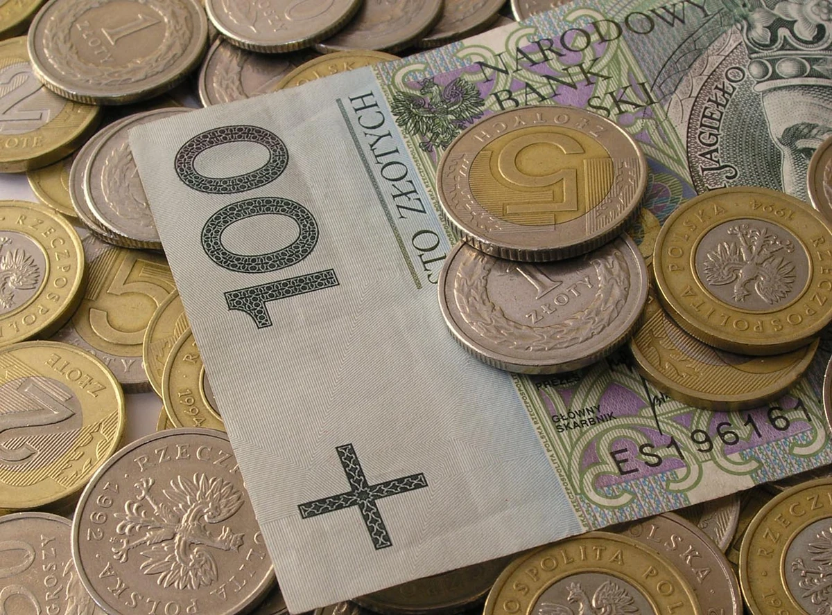Dofinansowanie państwowe 2025: 240 zł dla Polaków - kto dostanie wsparcie?