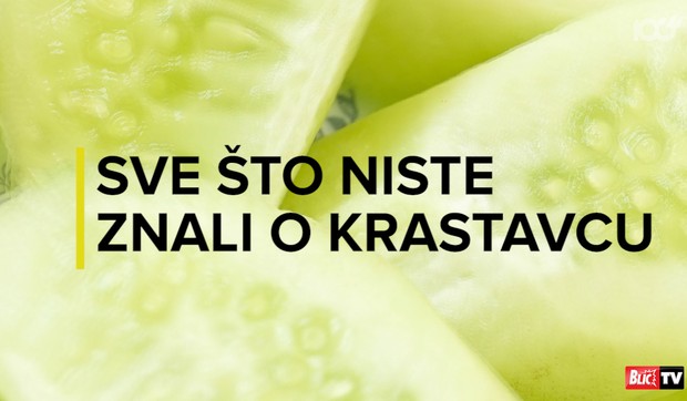 Sorti_cudotvorni_krastavac_vesti_blic_safe