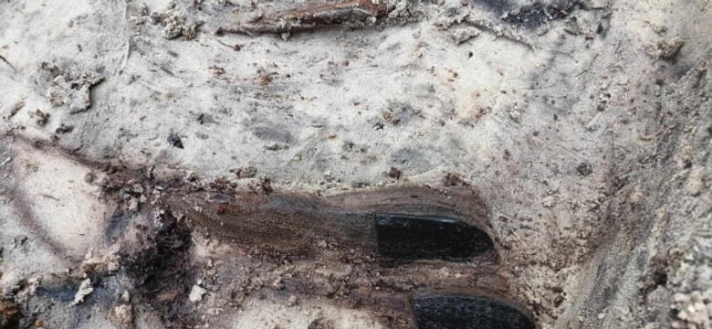 Odkrycie archeologów na Westerplatte. Będzie śledztwo prokuratury