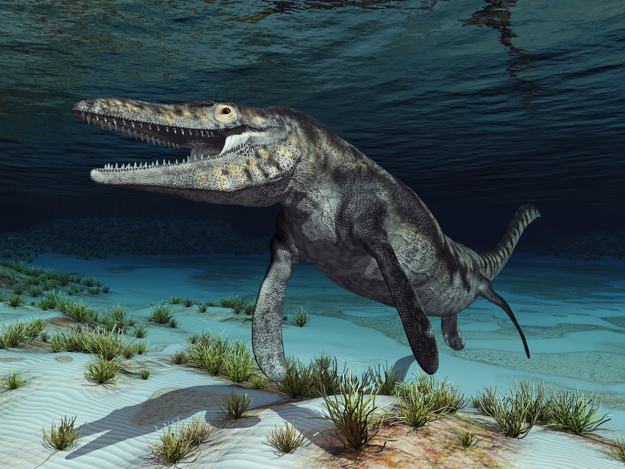 Tylosaurus