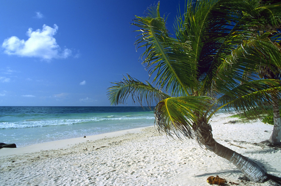 Miejsce 3. - Playa Sonrisa, Costa Maya, Meksyk 