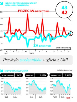 Czeka nas walutowe tsunami? Maklerzy przygotowują klientów na Brexit