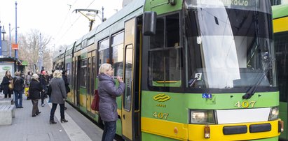 Uwaga! Kanary będą ostro polować. Mają zebrać aż...