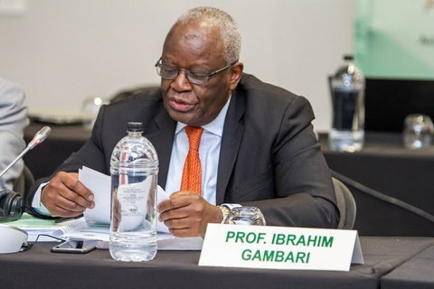 Chief of Staff to President Muhammadu Buhari, Prof. Ibrahim Folorunsho Gambari