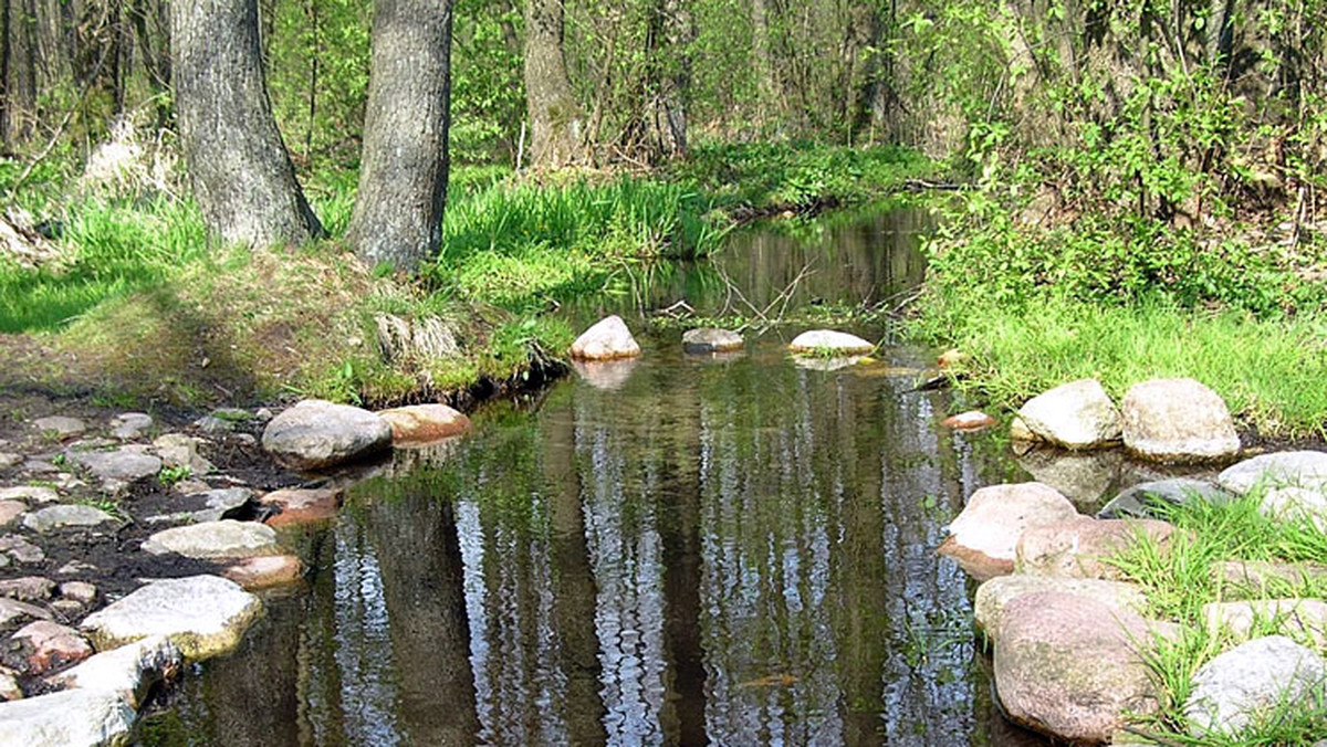 Są miejsca na długo zapadające w pamięć, zachwycające dzikością, ogromem, paletą barw, dźwięków lub zapachów. Są miejsca po prostu piękne. Do takich należy bezspornie ujście Warty.