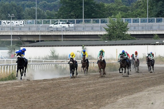 U nedelju se otvara galopska sezona na Hipodromu u Beogradu: Na programu 7 trka, ULAZ BESPLATAN