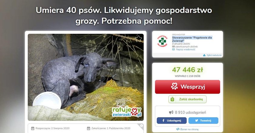 Garwolin: kilkadziesiąt psów trzymanych w potwornych warunkach