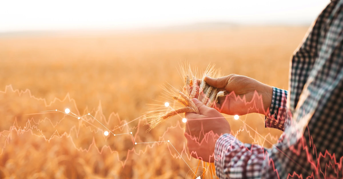 Popularne pestycydy mogą szkodzić męskiej płodności – alarmujące wyniki badań