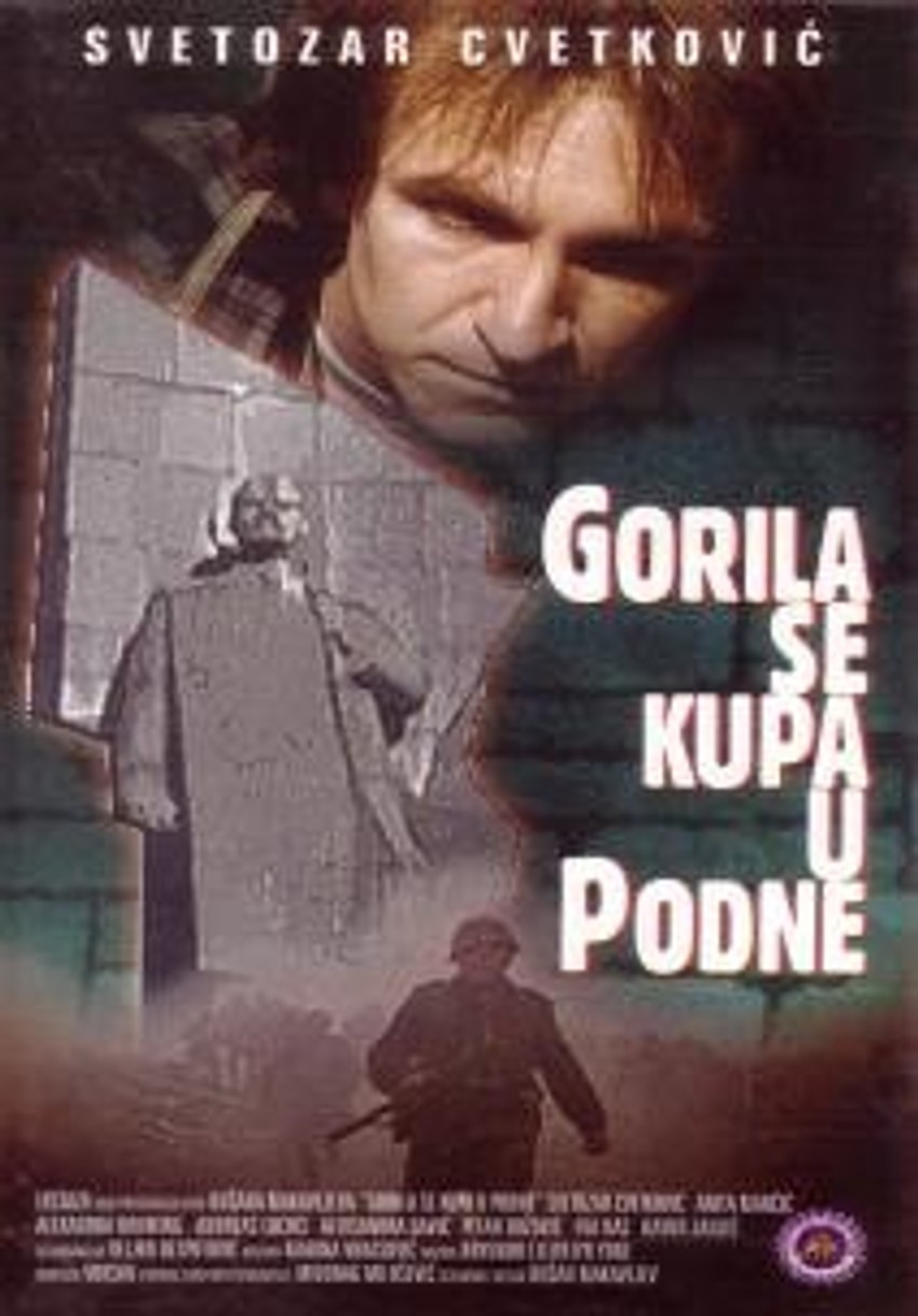 Gorila se kupa u podne (1993)