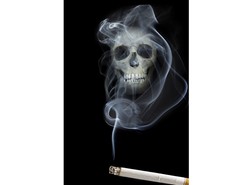 Obrzydzanie palenia to zamach na wolność słowa