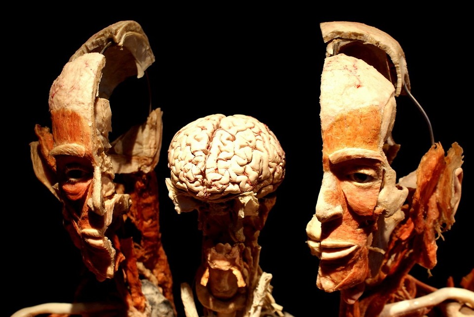 PLASTINARIUM