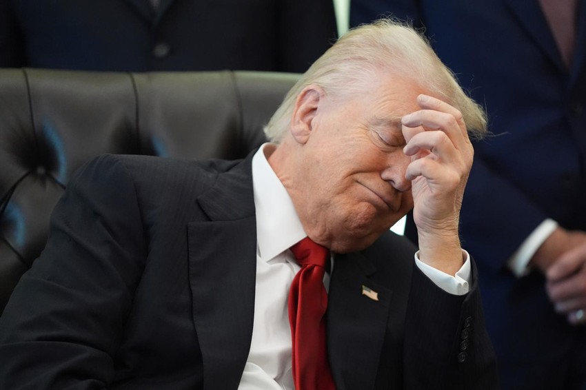 donald tramp