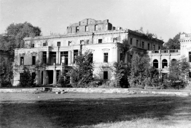 Ruina pałacu przed rozbiórką