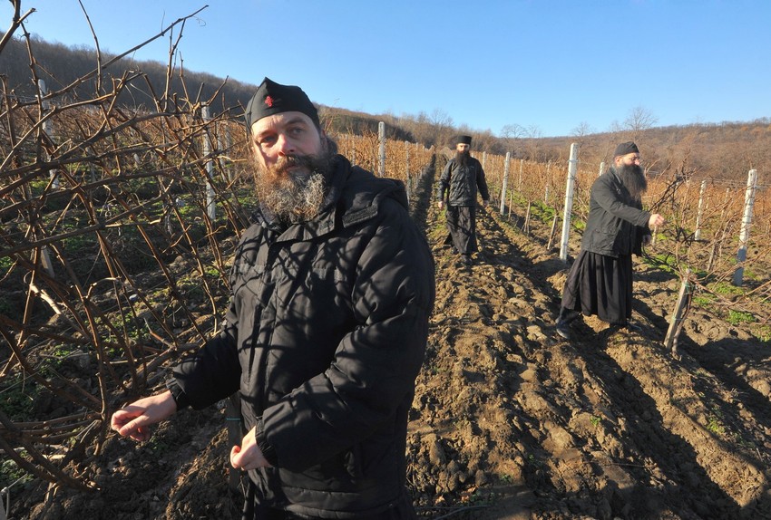 Poslušanje oca Damjana je briga za vinograd i zasade crne tamjanike