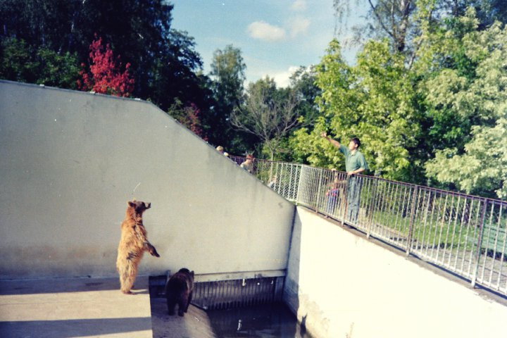 Kto zjadł konie z braniewskiego zoo?