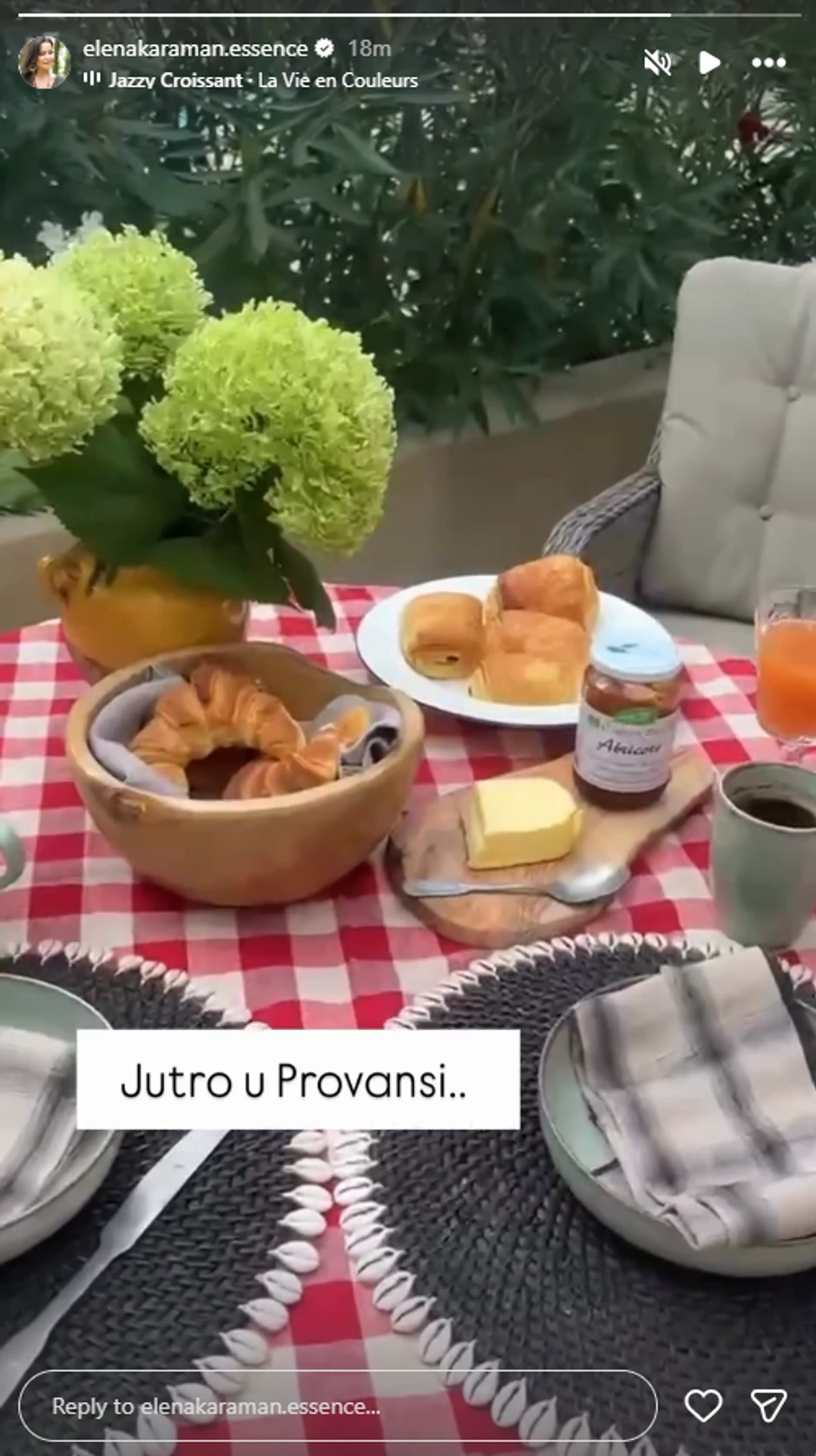 Elena Karić, objava