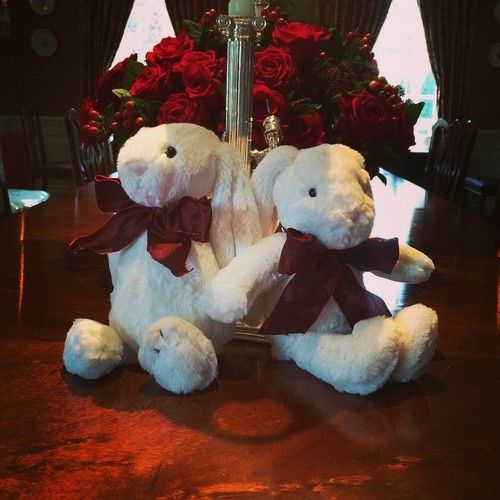 Króliczki Zachary'ego i Elijah...