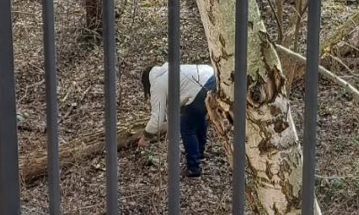 Przyłapali spacerowiczkę na gorącym uczynku. "Chcemy wierzyć, iż to nieporozumienie" [zdjęcia]