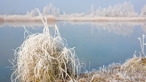 Tej nocy mróz uderzy najmocniej. Kiedy siarczysty mróz zawita do Polski? Czy w nocy z 18 na 19 grudnia będzie mróz w Polsce?