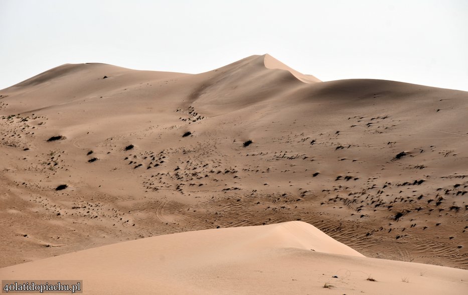 Arabia Saudyjska, wyprawa na pustynię Ar-Rab al-Chali