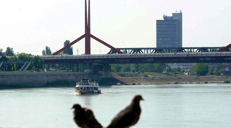 A hajójáratok kedveltek voltak / Fotó: MTI - Máthé Zoltán