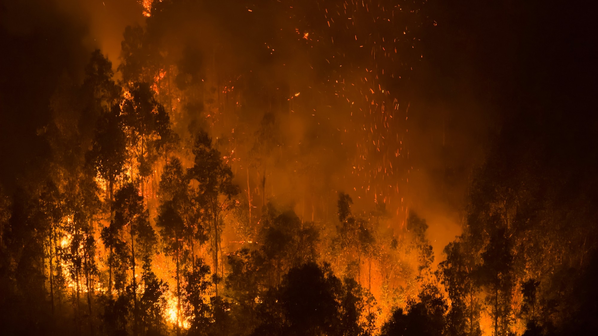 Lesný požiar neďaleko čilského mesta Concepción.