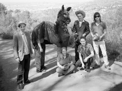 Belle and Sebastian wreszcie w Polsce