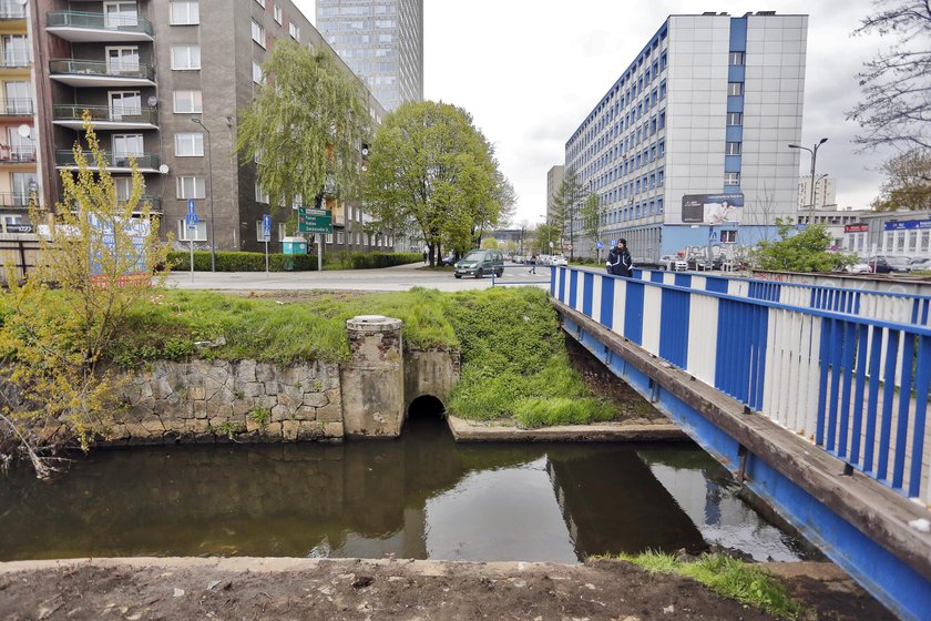 Katowice. Oczyszczanie Rawy