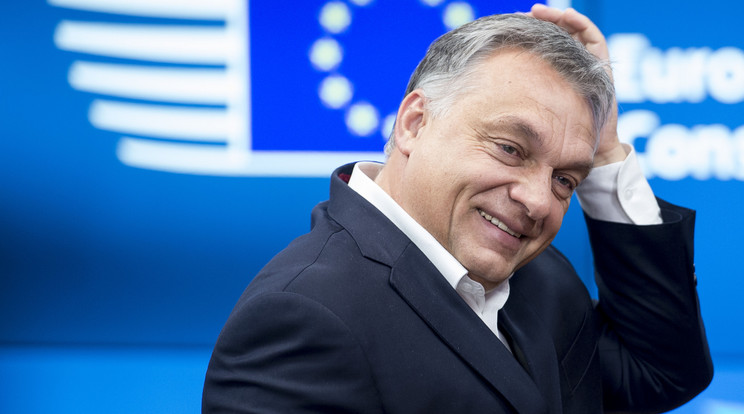 Orbán Viktor / Fotó: Northfoto