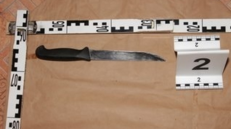 Ezzel a késsel szúrta le nővérét / Fotó: police.hu