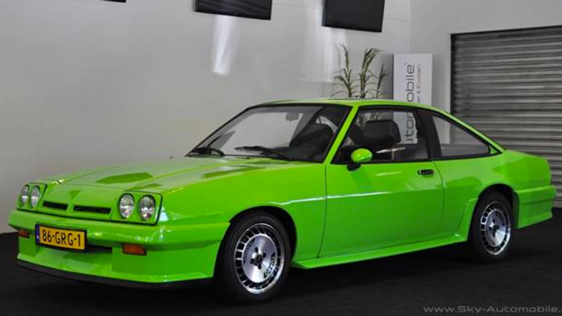 Abby opel sex