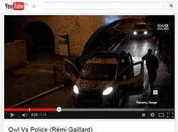 Kolejny żart z policjantów. Wielka sowa narobiła na radiowóz [WIDEO]