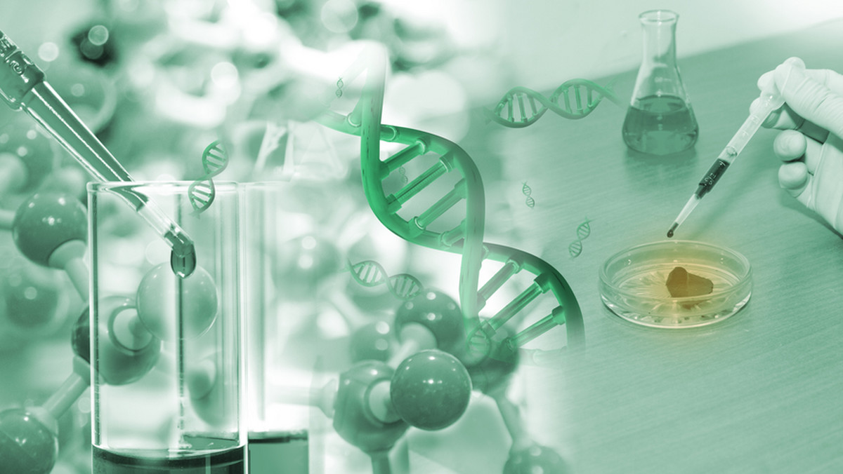 Badacze rozważają teraz syntetyzowanie ludzkiego genomu. Innymi słowy, zamierzają wyprodukować DNA, jakie zawierają ludzkie chromosomy. Projekt ten intryguje, lecz także niepokoi, analogicznie jak niegdyś klonowanie, gdyż jest możliwe, że tym sposobem można by teoretycznie powołać kiedyś na świat ludzi bez potrzeby angażowania w to biologicznych rodziców.