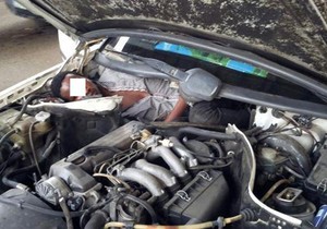 661540_migrant-ispod-haube-foto-twitter