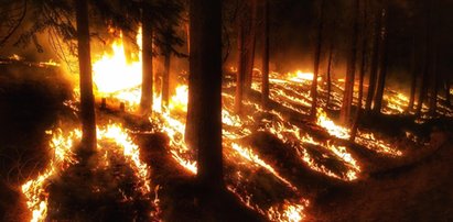 Surowa kara dla nastolatka. Nie wypłaci się do końca życia