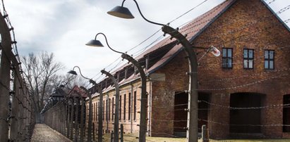 Irlandczyk zniszczył ścianę w Auschwitz. Stanie przed sądem