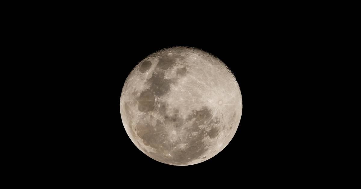 Zbliża się pełnia Śnieżnego Księżyca. Czas, by pokazać światu, co masz do zaoferowania